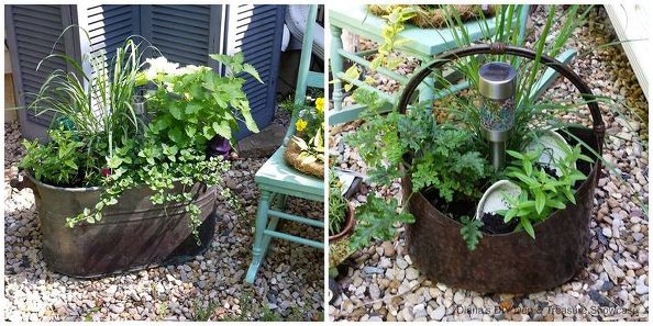 natural-mosquito-repelling-planters-container-gardening-gardening-pest-control
