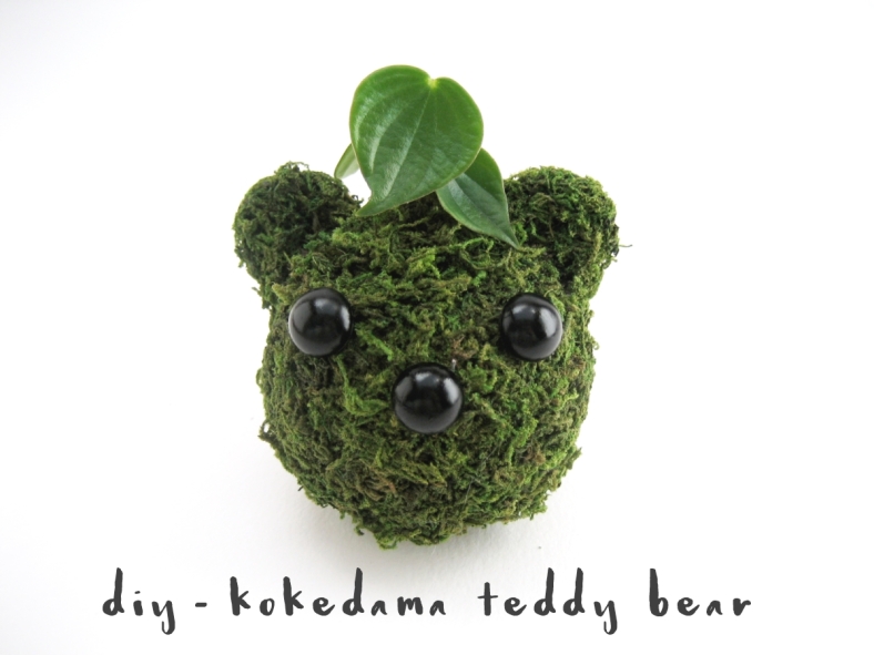 diy-kokedama-teddy-bear-adorablest